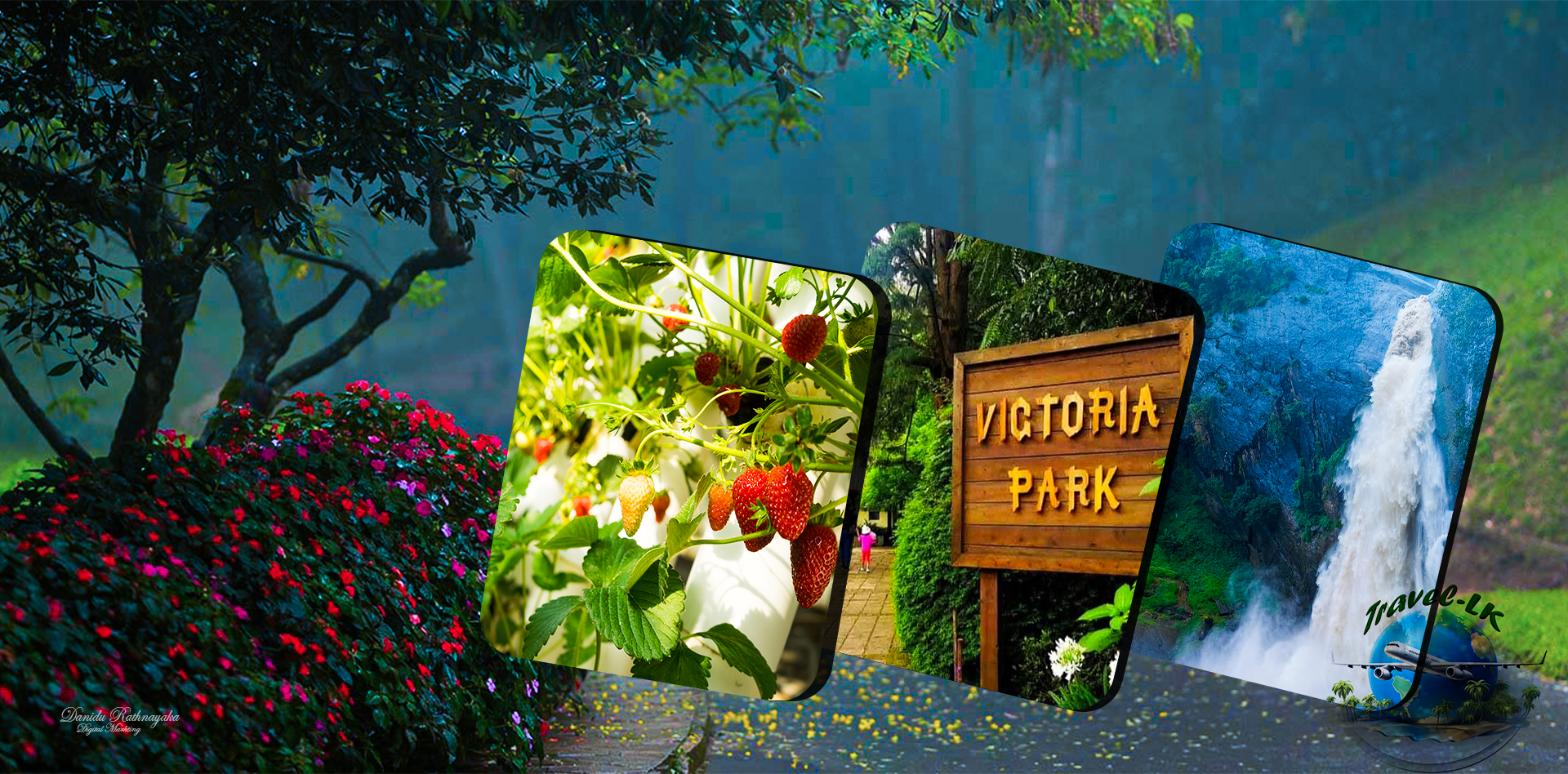 You are currently viewing Nuwara Eliya