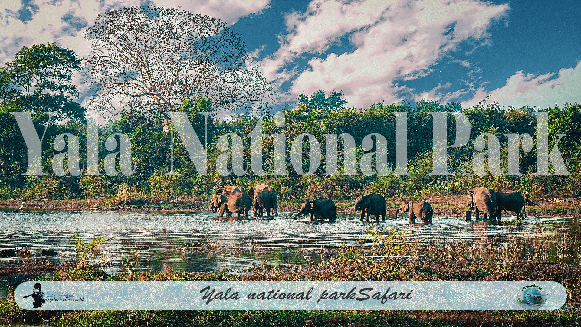 Read more about the article Yala National Park