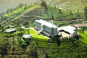 Read more about the article Tea Factories
