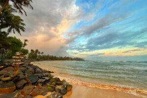 Read more about the article Mirissa Beach