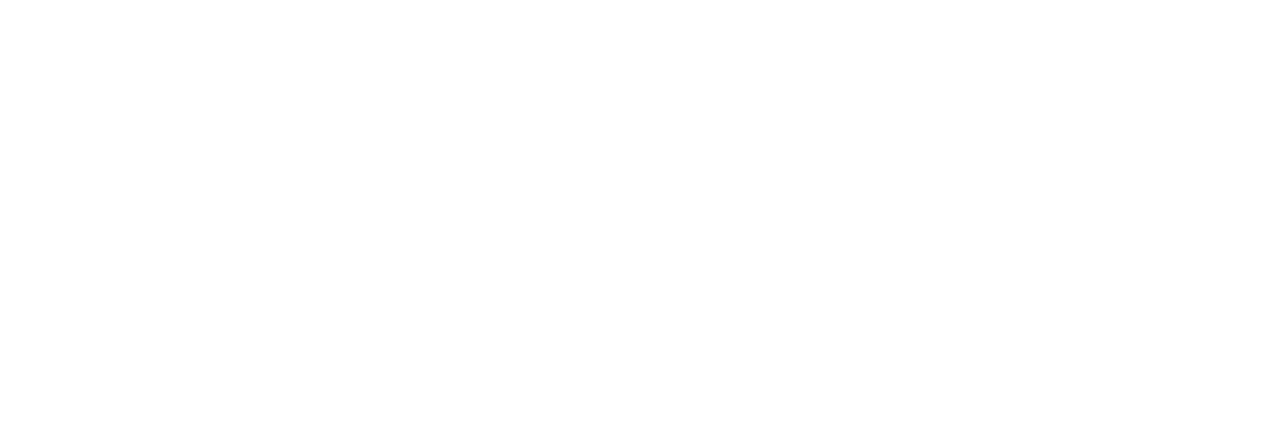 Travel LK